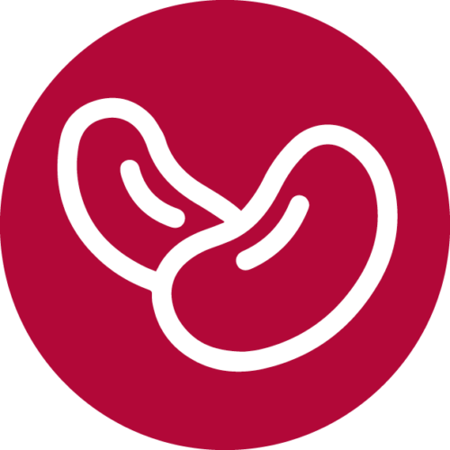 icon-beans-500x500
