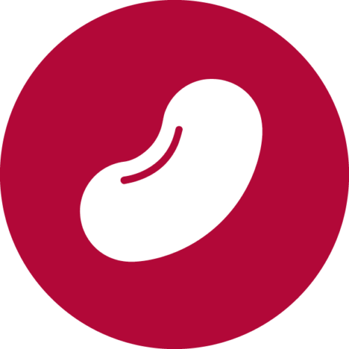icon-kidney-bean-500x500