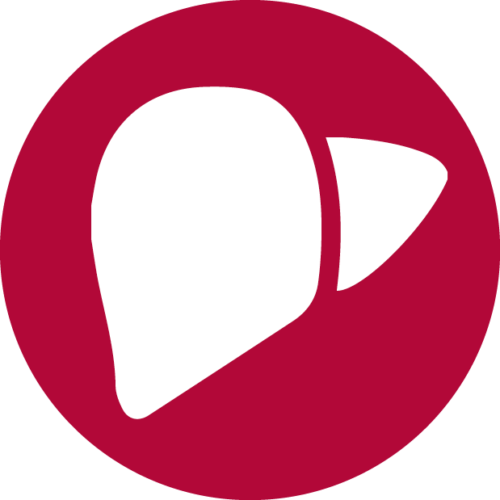 icon-liver-500x500