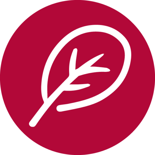icon-spinach-500x500 (1)