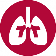 icon-lungs-500x500